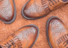 Броги жгучего цвета. 