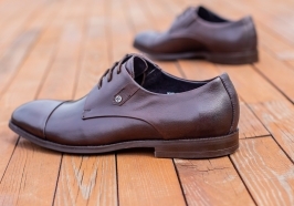 Броги жгучего цвета. 