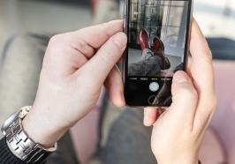 Туфли к Новому году!